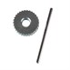 Rueda dentada 25(Ø)mm para abrelatas Vogue CE038/CE039