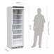 Vitrina congeladora Polar Serie C 400 litros