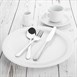 Platos llanos borde estrecho Athena Hotelware 284mm