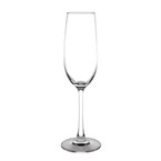 Copas de champán Modale 215ml Olympia