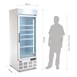 Vitrina congeladora Polar Serie G una puerta panel iluminación exterior