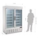 Vitrina congeladora Polar Serie G dos puertas panel iluminación exterior