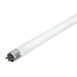 Tubo fluorescente para mata insectos Eazyzap 8W
