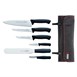 Juego de 6 cuchillos Dick Pro Dynamic y estuche