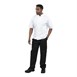 Chaqueta cocina Whites Boston manga corta blanca