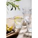 Vasos Duralex Picardie 310ml