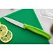 Cuchillo pelador sierra Victorinox verde 76mm