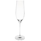 Copa champán/cava Olympia Crystal Campana 260ml
