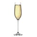 Copa champán/cava Olympia Crystal Campana 260ml