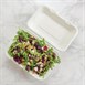 Envase compostable abatible de bagazo para comida Vegware 228mm
