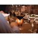 Copa vino tinto de cristal Schott Zwiesel 540ml (Caja 6)