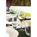 Vaso alto Arcoroc Malea 350ml (Caja 6)
