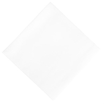 Servilleta compostable Duni blanca 400mm (Caja 720)